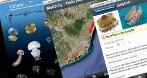 descargar-app-medjelly-medusas